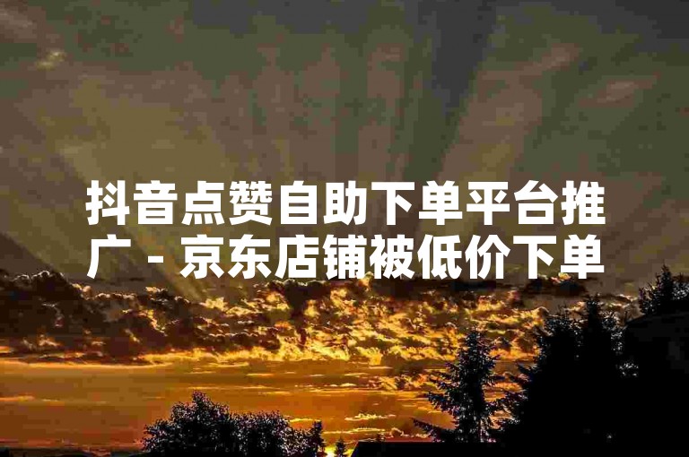 抖音点赞自助下单平台推广 - 京东店铺被低价下单。