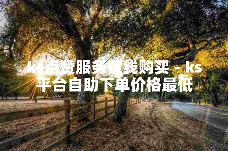 ks点赞服务在线购买 - ks平台自助下单价格最低