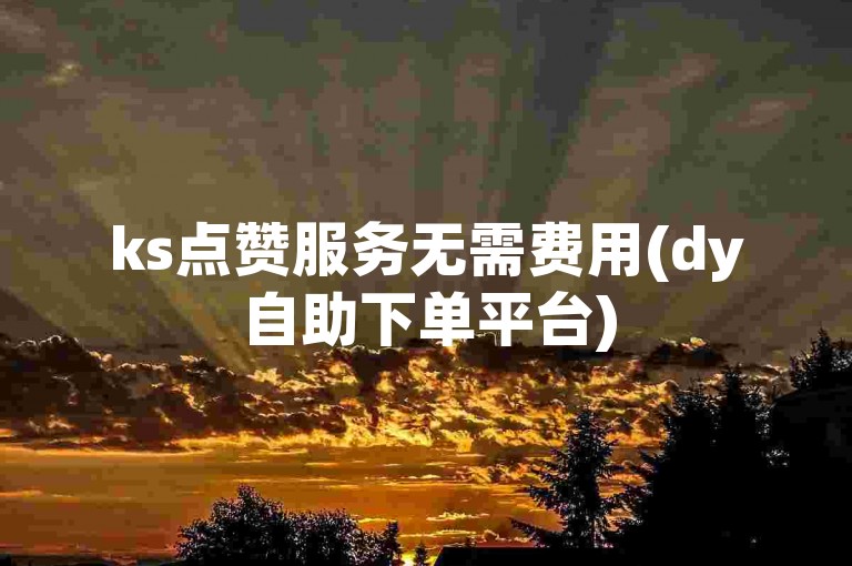 ks点赞服务无需费用(dy自助下单平台)