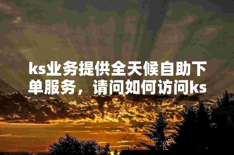 ks业务提供全天候自助下单服务，请问如何访问ks的下单自助平台？