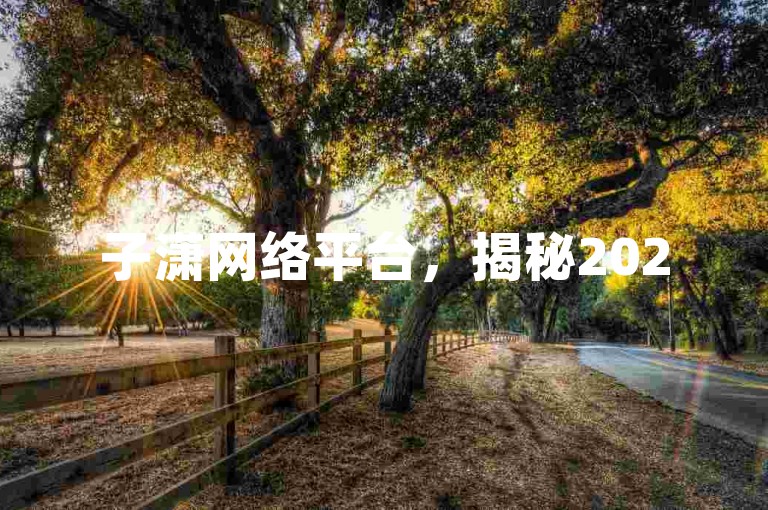 子潇网络平台，揭秘2025年必备的优化利器，助你打造卓越网络体验！