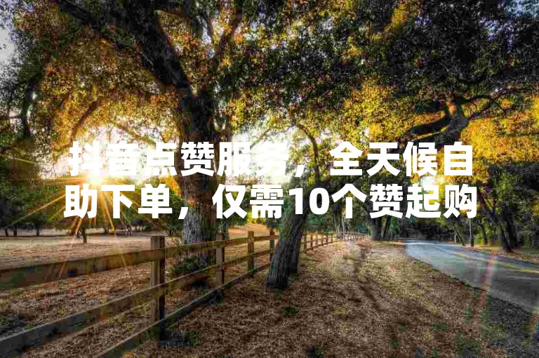 抖音点赞服务，全天候自助下单，仅需10个赞起购。