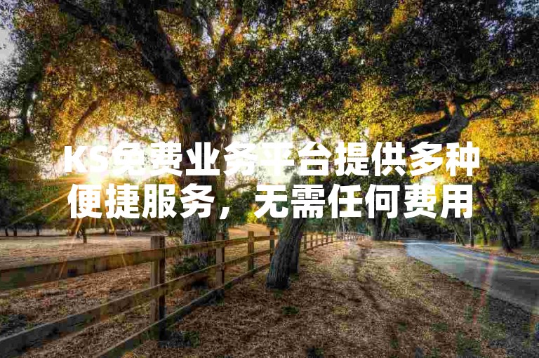 KS免费业务平台提供多种便捷服务，无需任何费用即可享受。