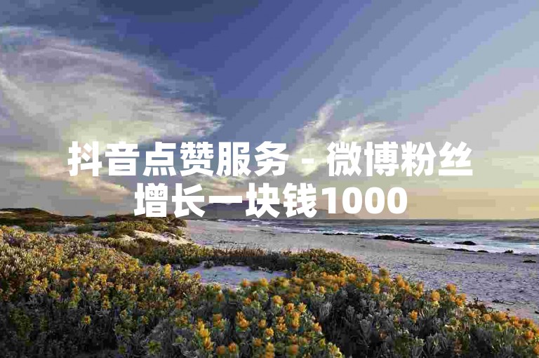 抖音点赞服务 - 微博粉丝增长一块钱1000