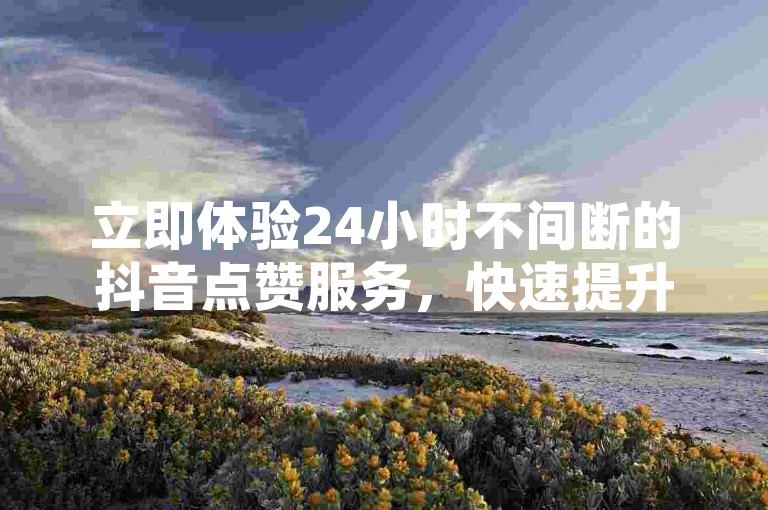 立即体验24小时不间断的抖音点赞服务，快速提升你的视频人气！
