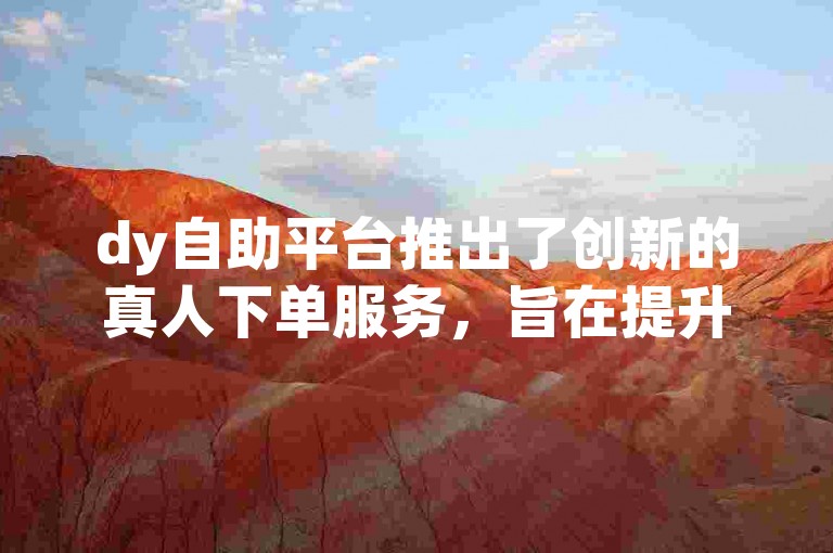 dy自助平台推出了创新的真人下单服务，旨在提升用户体验。