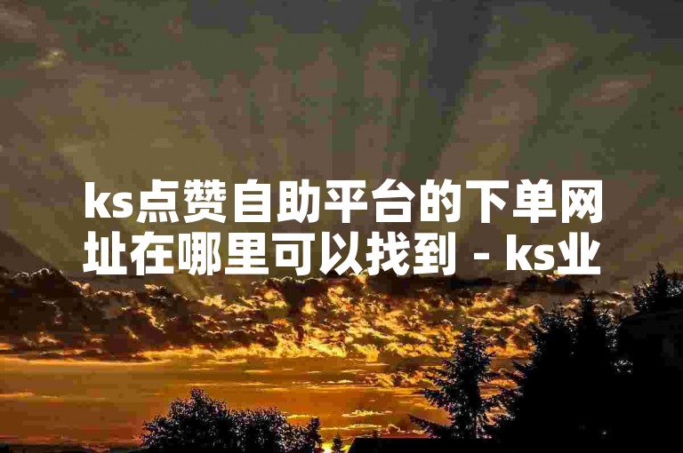 ks点赞自助平台的下单网址在哪里可以找到 - ks业务平台自助下单的官方网站是什么
