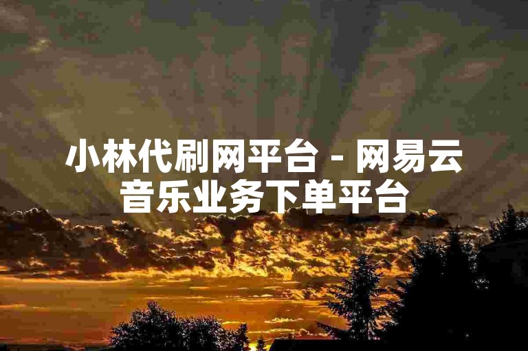 小林代刷网平台 - 网易云音乐业务下单平台