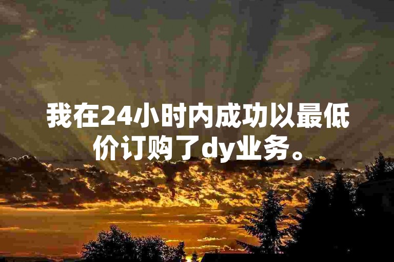 我在24小时内成功以最低价订购了dy业务。