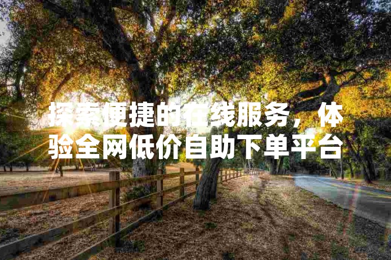 探索便捷的在线服务，体验全网低价自助下单平台dy带来的全民K歌业务快速下单服务。