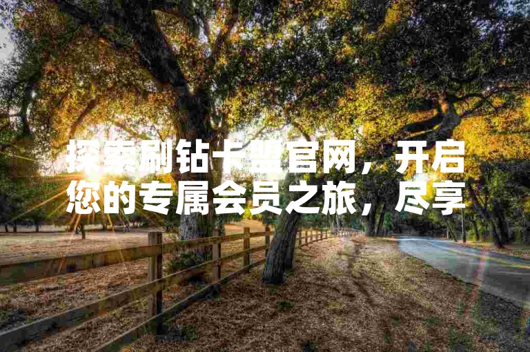 探索刷钻卡盟官网，开启您的专属会员之旅，尽享非凡特权。
