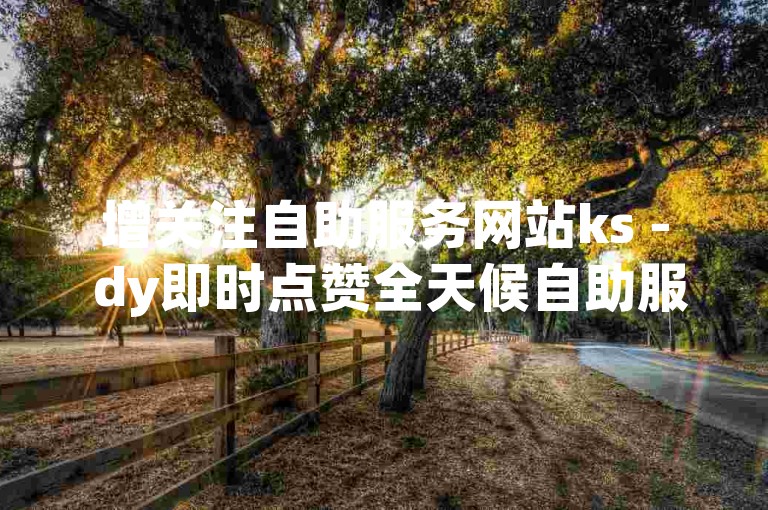 增关注自助服务网站ks - dy即时点赞全天候自助服务平台。