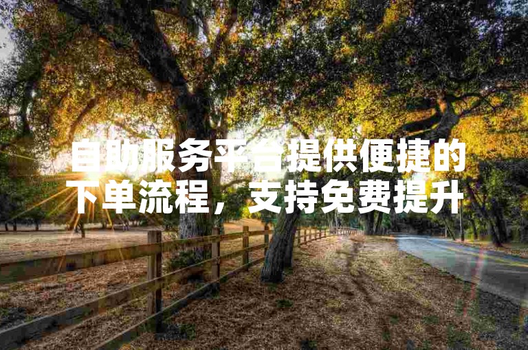 自助服务平台提供便捷的下单流程，支持免费提升快手播放器的使用体验。