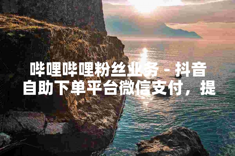 哔哩哔哩粉丝业务 - 抖音自助下单平台微信支付，提供便捷的在线服务。