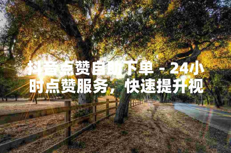 抖音点赞自助下单 - 24小时点赞服务，快速提升视频热度。