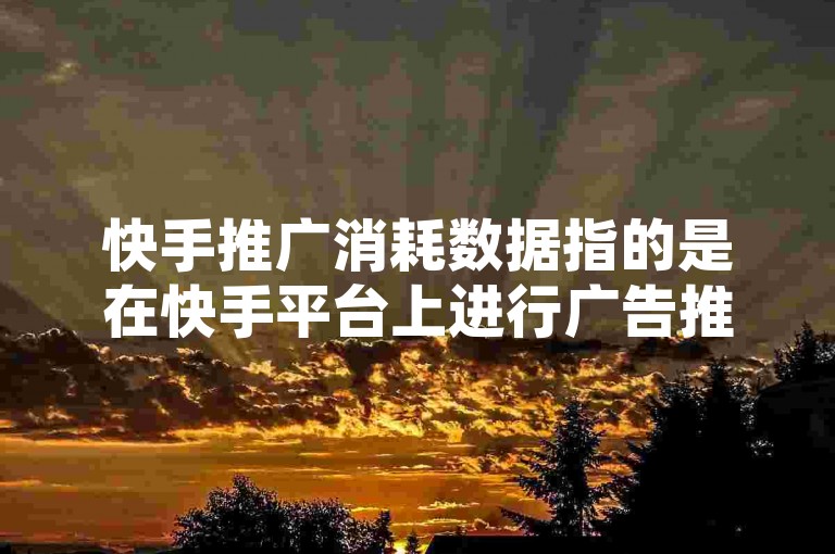 快手推广消耗数据指的是在快手平台上进行广告推广活动时，所投入的资金总量及消耗情况的详细记录。