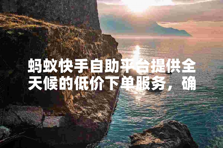 蚂蚁快手自助平台提供全天候的低价下单服务，确保用户随时享受便捷高效的购物体验。