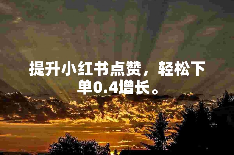 提升小红书点赞，轻松下单0.4增长。