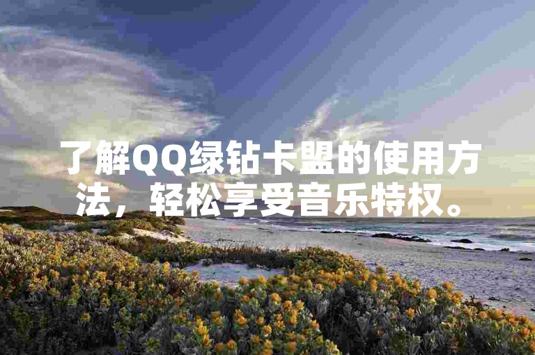 了解QQ绿钻卡盟的使用方法，轻松享受音乐特权。