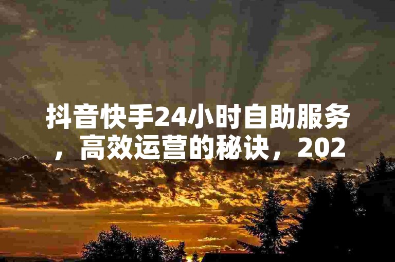 抖音快手24小时自助服务，高效运营的秘诀，2025必备技能。