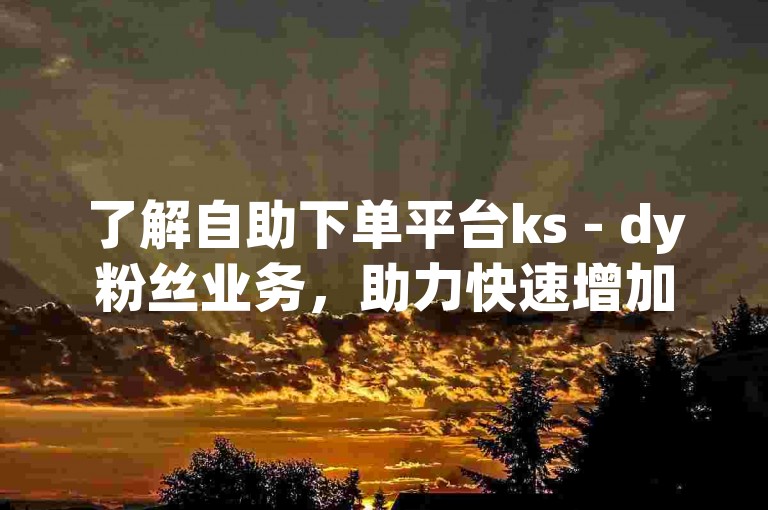了解自助下单平台ks - dy粉丝业务，助力快速增加粉丝量。