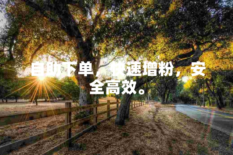 自助下单，快速增粉，安全高效。