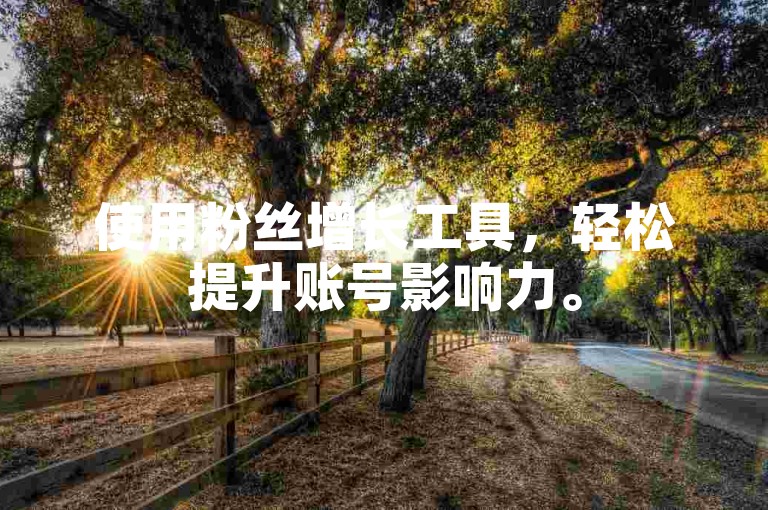 使用粉丝增长工具，轻松提升账号影响力。