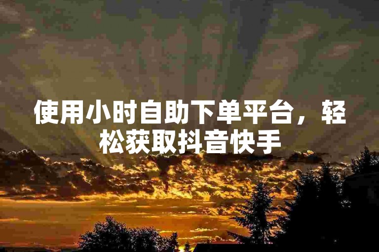 使用小时自助下单平台，轻松获取抖音快手500赞。