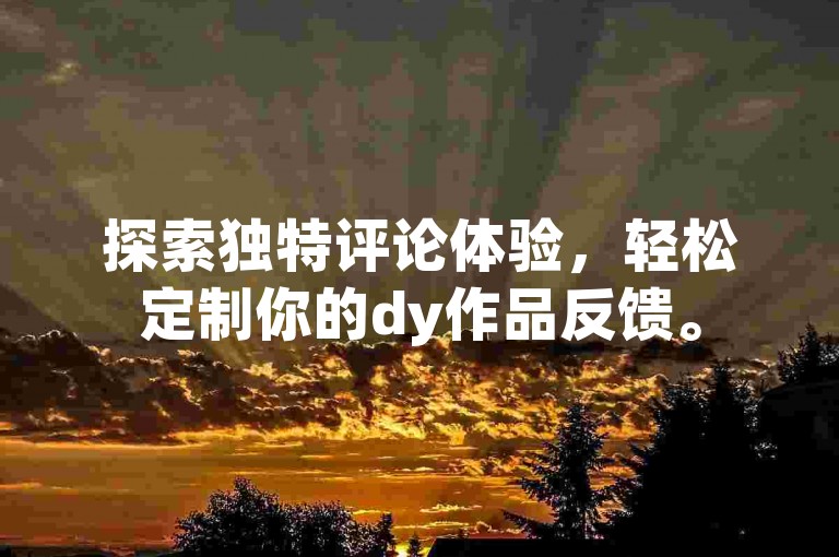 探索独特评论体验，轻松定制你的dy作品反馈。