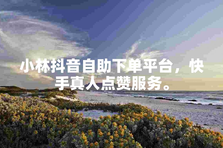 小林抖音自助下单平台，快手真人点赞服务。