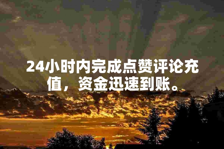 24小时内完成点赞评论充值，资金迅速到账。