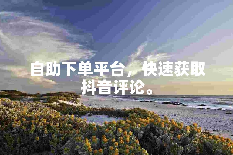 自助下单平台，快速获取抖音评论。