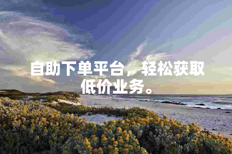 自助下单平台，轻松获取低价业务。