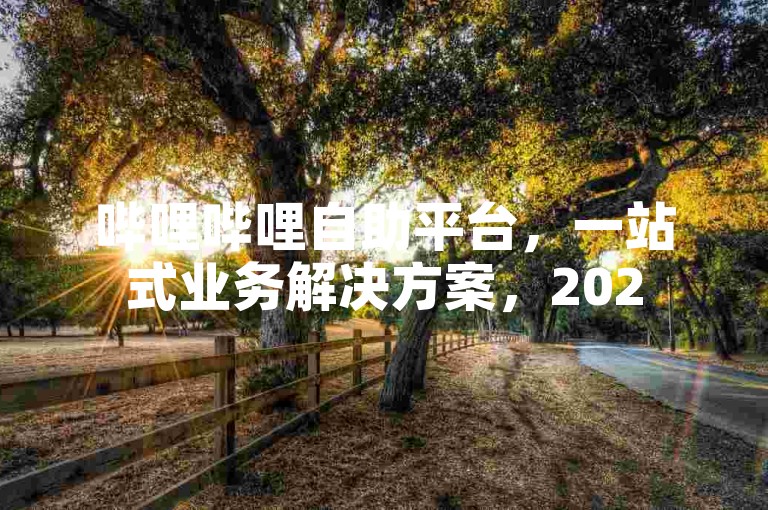 哔哩哔哩自助平台，一站式业务解决方案，2025必学！
