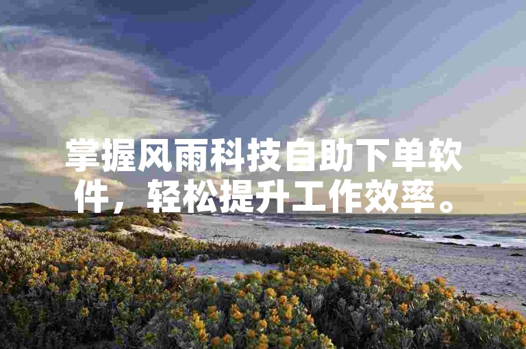 掌握风雨科技自助下单软件，轻松提升工作效率。