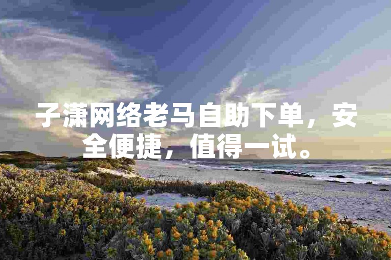 子潇网络老马自助下单，安全便捷，值得一试。
