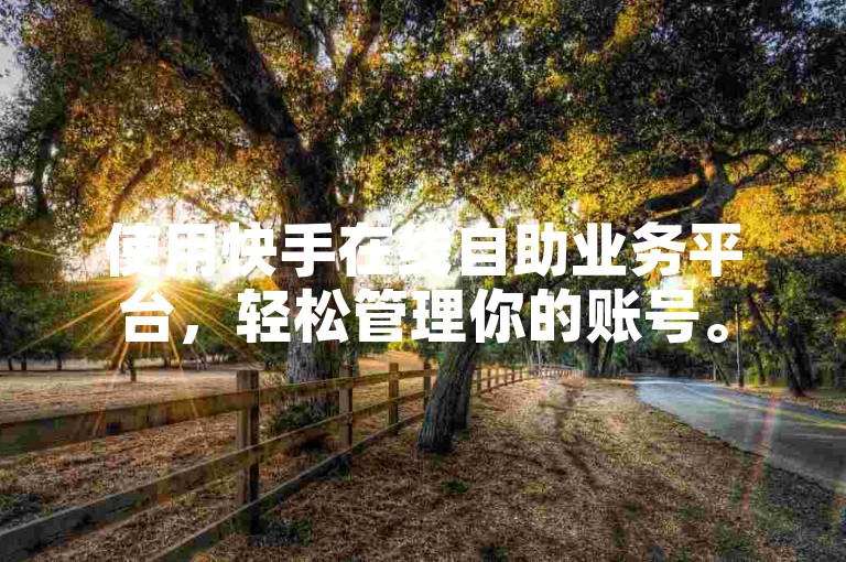 使用快手在线自助业务平台，轻松管理你的账号。