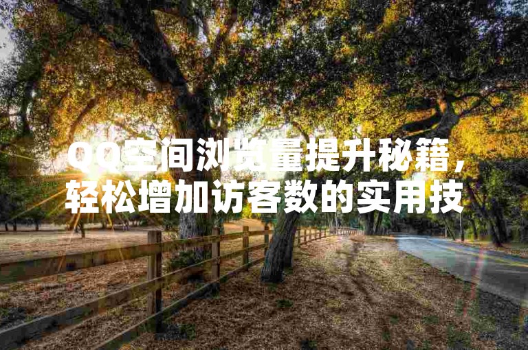 QQ空间浏览量提升秘籍，轻松增加访客数的实用技巧。