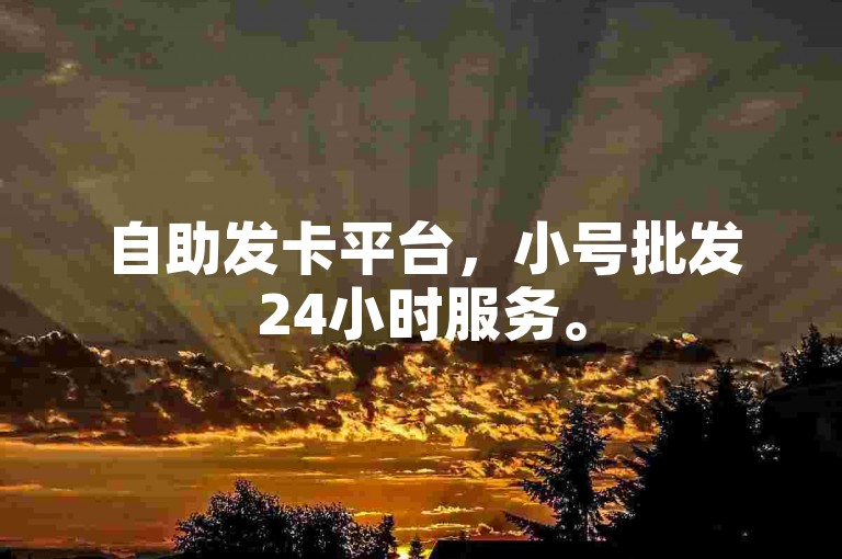 自助发卡平台，小号批发24小时服务。