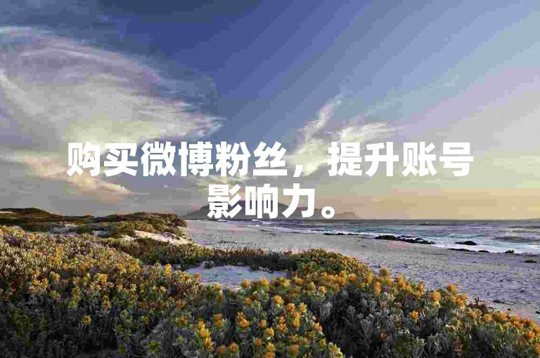购买微博粉丝，提升账号影响力。