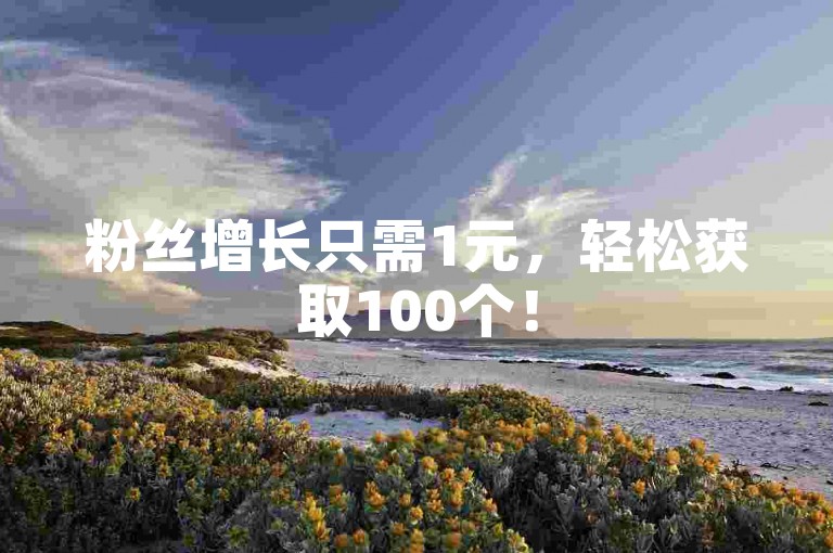 粉丝增长只需1元，轻松获取100个！