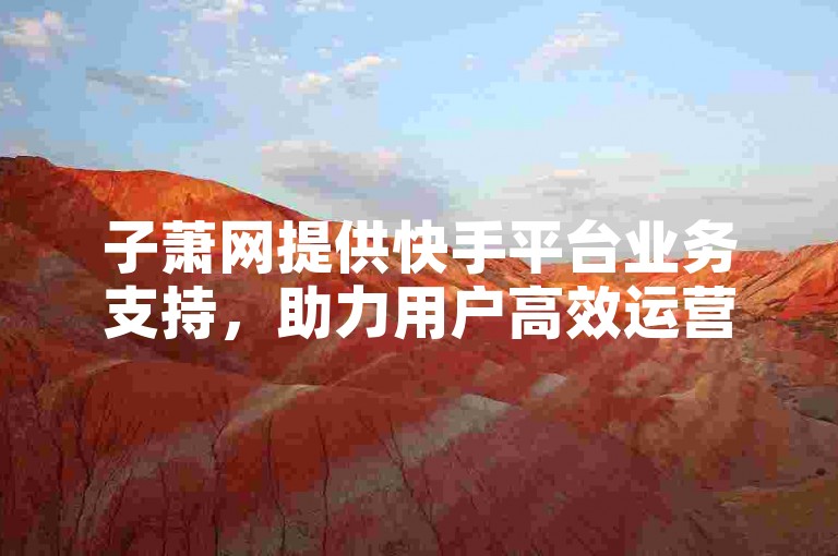 子萧网提供快手平台业务支持，助力用户高效运营。