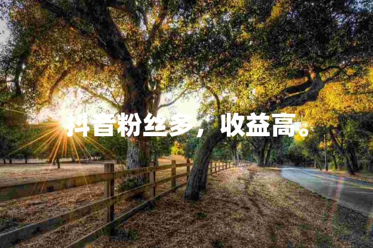 抖音粉丝多，收益高。