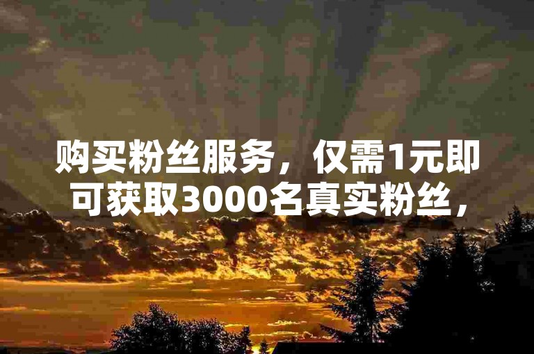 购买粉丝服务，仅需1元即可获取3000名真实粉丝，且永不流失。