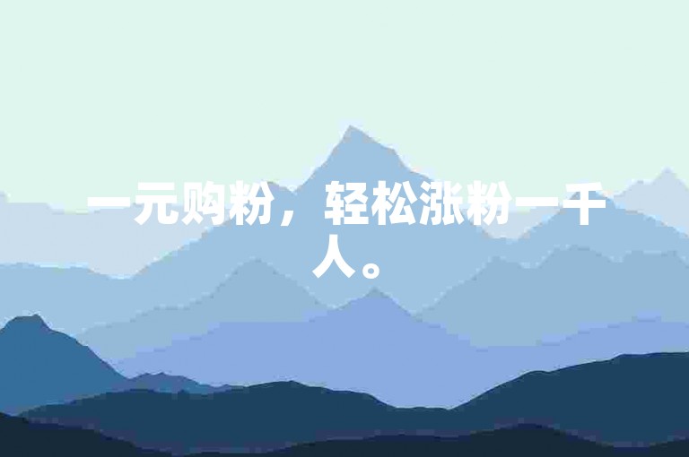 一元购粉，轻松涨粉一千人。