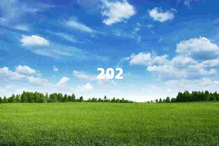 2025年拼多多助力次数限制由官方规定。
