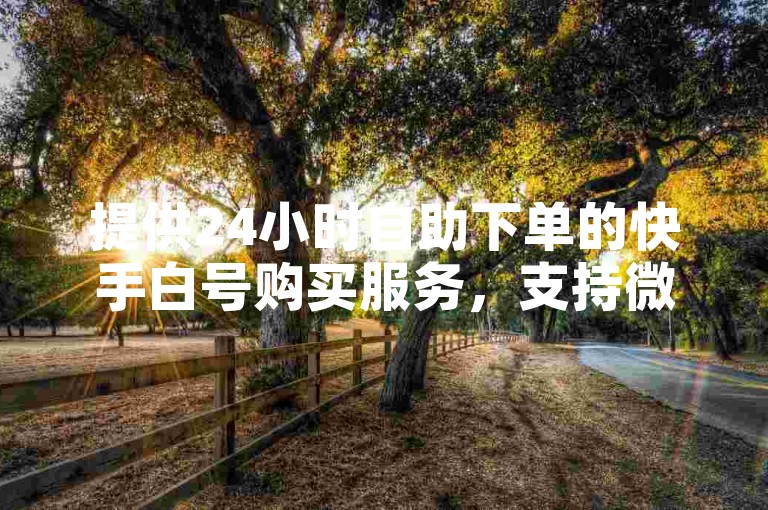 提供24小时自助下单的快手白号购买服务，支持微信支付。