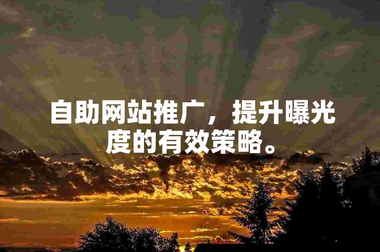 自助网站推广，提升曝光度的有效策略。