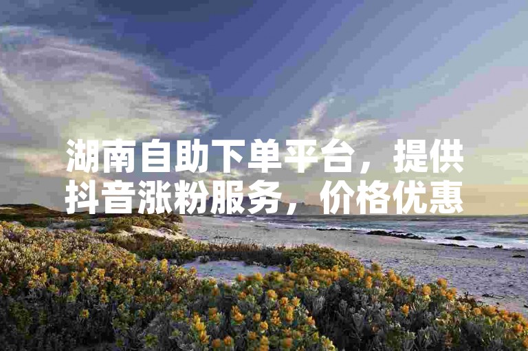湖南自助下单平台，提供抖音涨粉服务，价格优惠。