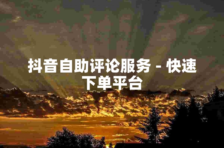 抖音自助评论服务 - 快速下单平台